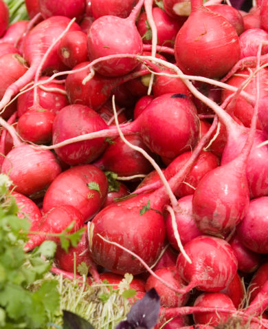 Image of a large bushel of radishes