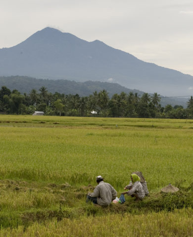 Image of people sitting in the middle of a large swath of farmland with mountains in the distance.