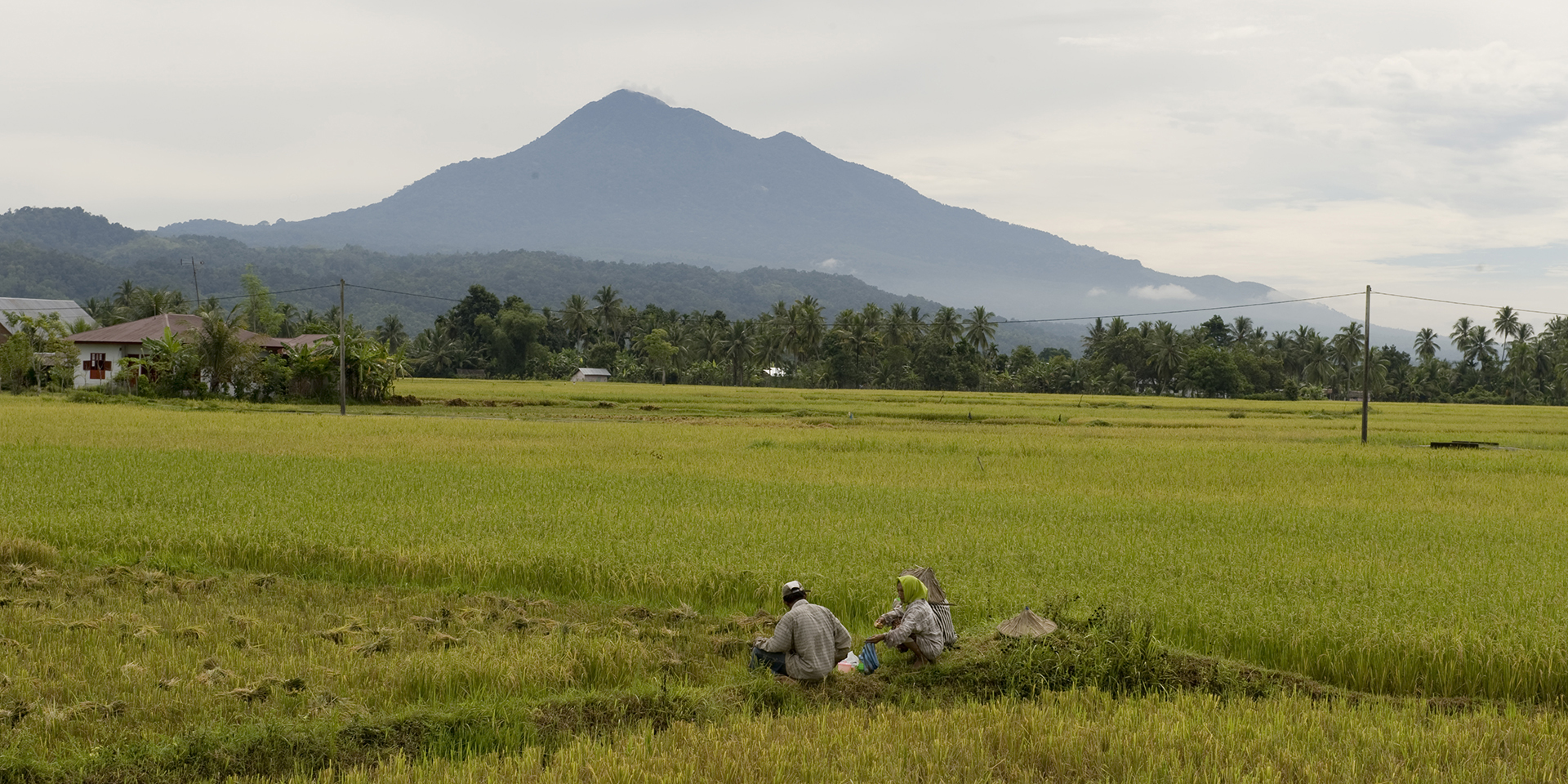 Image of people sitting in the middle of a large swath of farmland with mountains in the distance.