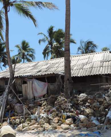 Image of a makeshift flood wall butting against a home sitting amongst palm trees.