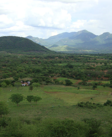 Image of a green, mountainous landscape with trees, livestock, and homes peppered throughout.