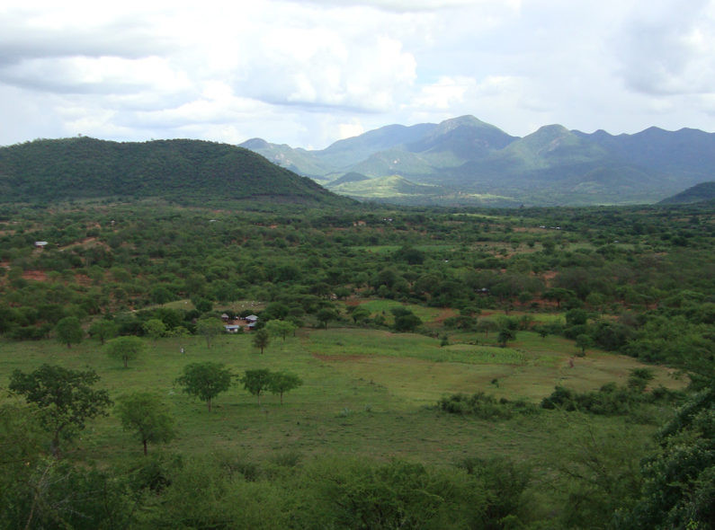 Image of a green, mountainous landscape with trees, livestock, and homes peppered throughout.