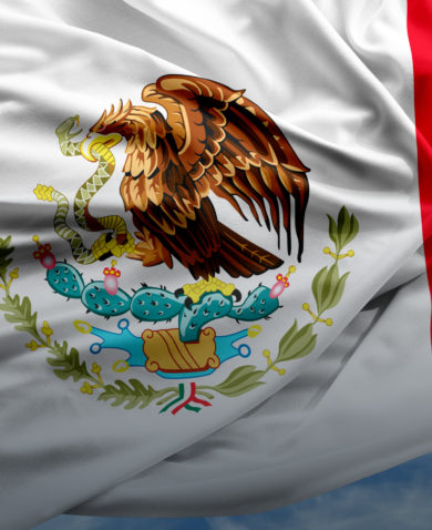 A close-up photo of Mexico's flag waving with blue sky in the background. The flag is green, white, and red with an image of a large bird perched on cactus with a snake clutched in its beak.