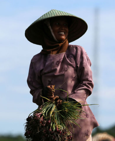 Image of a smiling farmer holding a large bushel of crops in her hands.