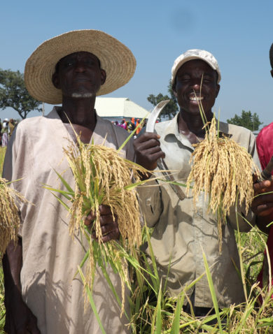 Image of four farmers posing for a photo in a field, holding crops and tools in their hands.