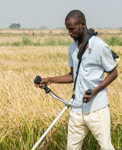 A man using a handheld harvester on brown and green farmland.