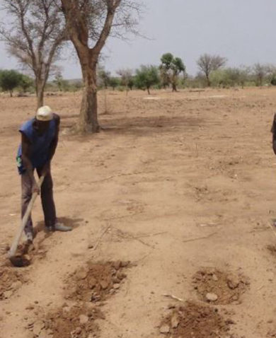 Image of two men using hoes to till soil in a savanna.