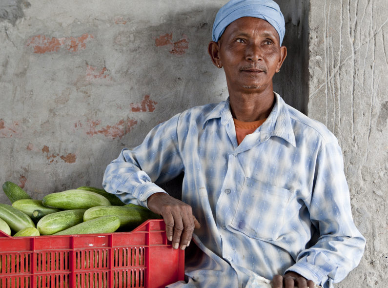 A man sitting beside a red basket filled with bright green cucumbers.