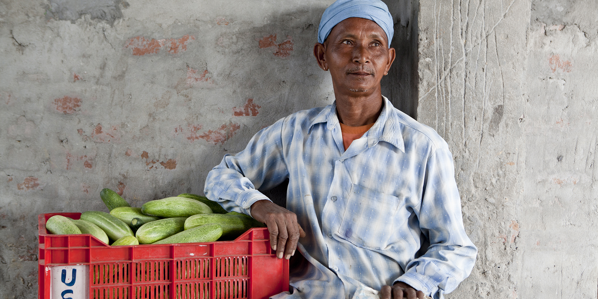 A man sitting beside a red basket filled with bright green cucumbers.