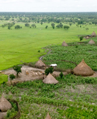 A drone shot of a farm with several triangular, spherical huts, a large herd of goats, and crops peppered throughout. It sits in a vibrant green landscape with several trees in the background.