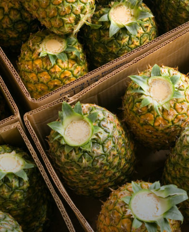 Overhead image of pineapples stored in cardboard boxes with their crowns cut off.