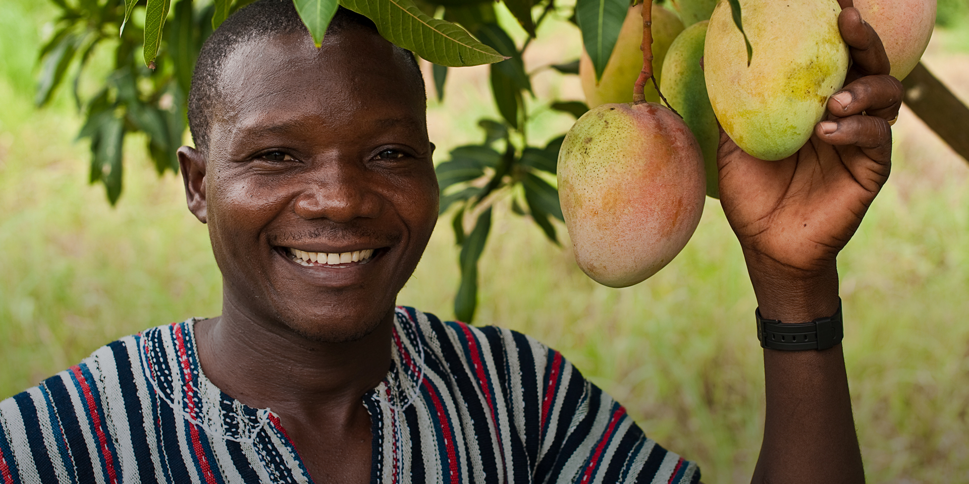 A man smiling and standing next to a mango tree, holding one of the fruits in his hand.