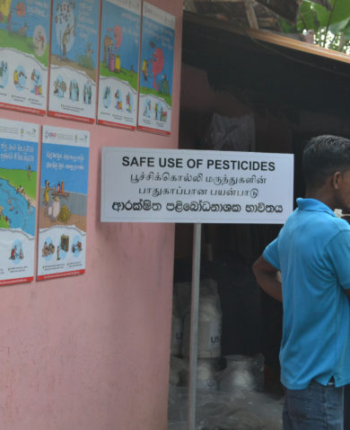 People standing in front of a wall with several cartoon posters marked "USAID." Next to the wall is a sign that says, "Safe Use of Pesticides."