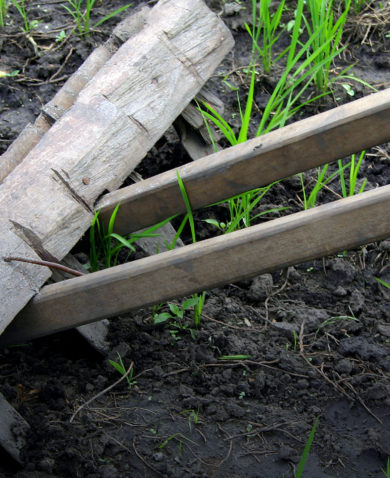 A close-up image of a wooden device tilling soil.