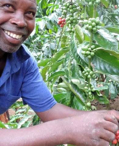 A smiling man holding a vine covered with red-tinted fruits.