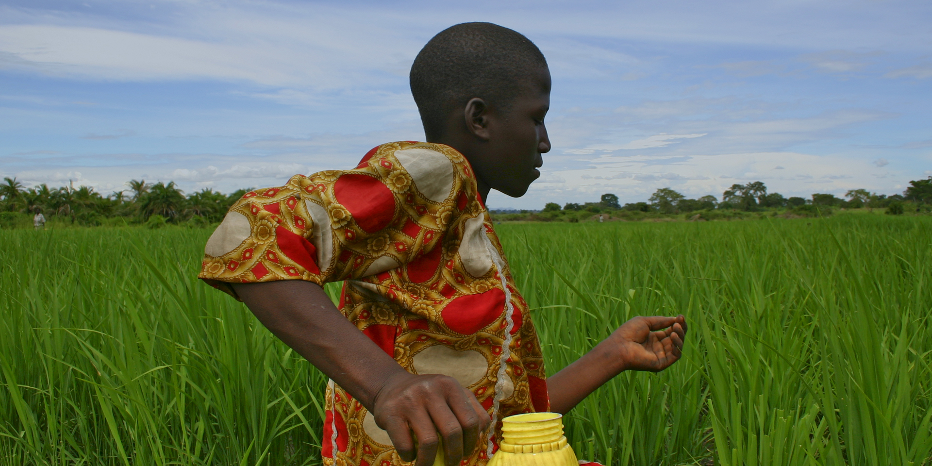 A person in bright red, white, and gold clothing examining crops.