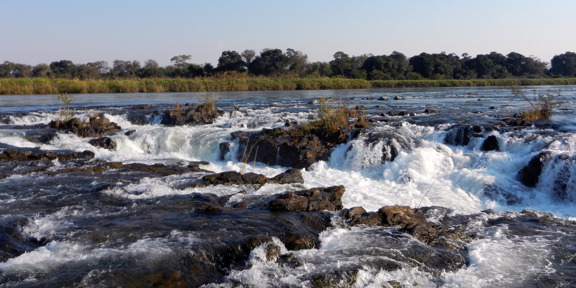 Image of rapids running across stones in a river surrounded by wetlands.