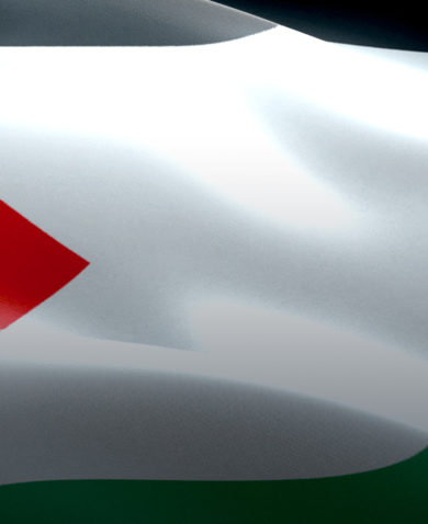 A close-up image of a waving Palestinian flag.
