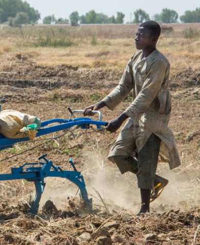 A man operates a blue and red power tiller on farmland as three farmers are working in the background.