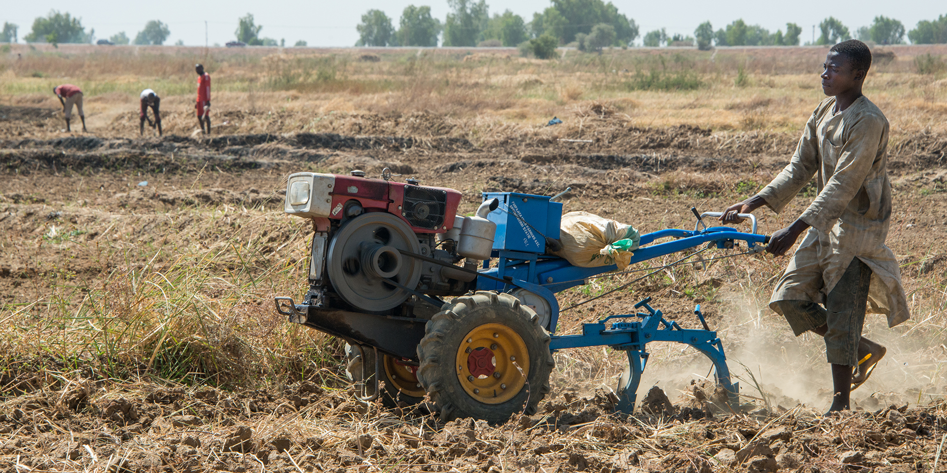 A man operates a blue and red power tiller on farmland as three farmers are working in the background.