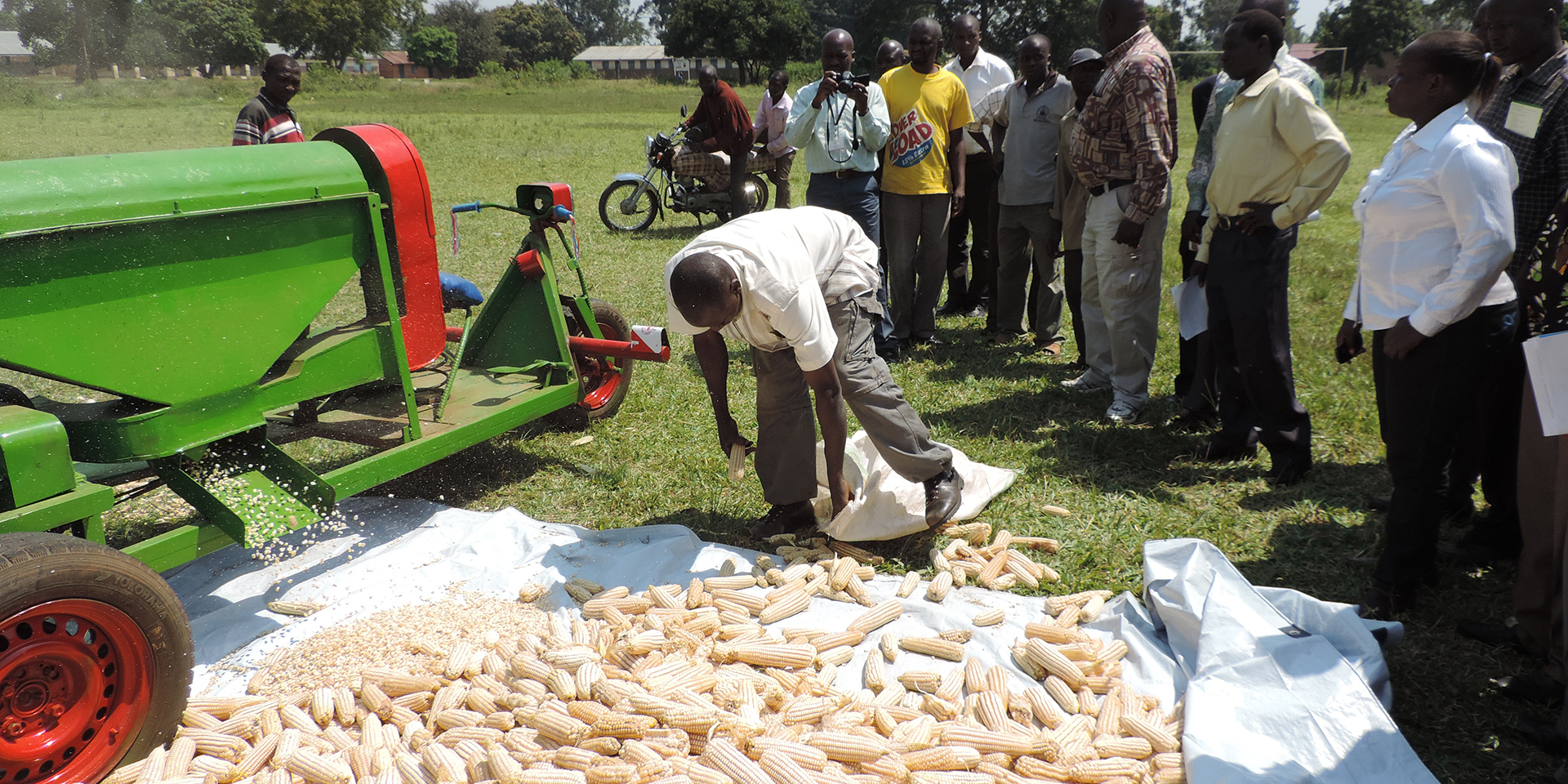 A large pile of corn being gathered by a man holding a bag. Beside the pile is a green vehicle that is dispensing individual kernels.