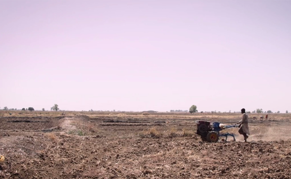 A large swath of harvested farmland with a person operating a motorized tiller.