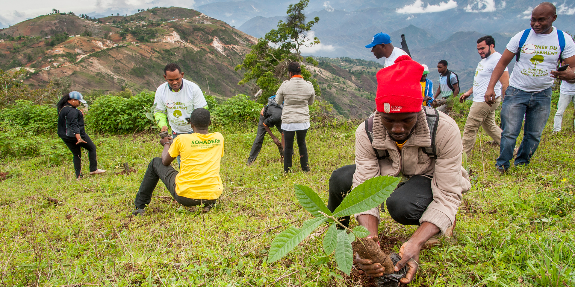 Several people planting trees in a bright green field with mountains in the distance.