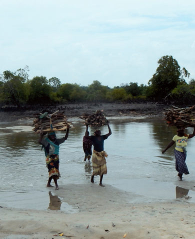 Image of women carrying stacks of wood on their heads as they cross a shallow river.
