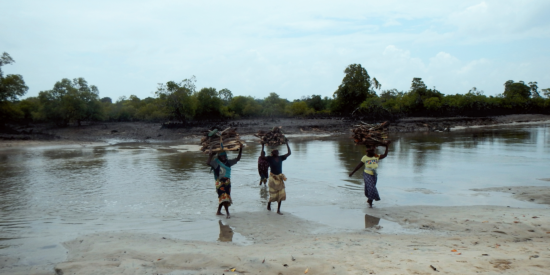 Image of women carrying stacks of wood on their heads as they cross a shallow river.