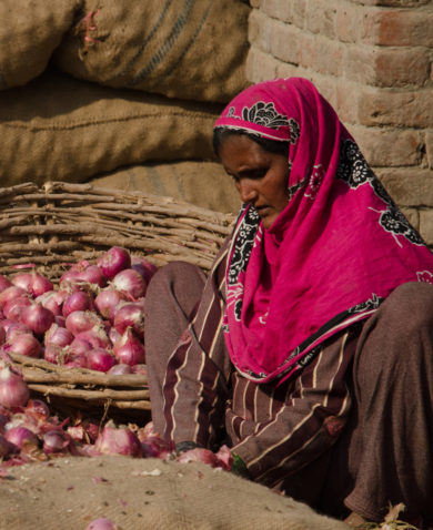 A large pile of onions with a woman sitting beside them, individually peeling them, placing them in a large basket beside her.
