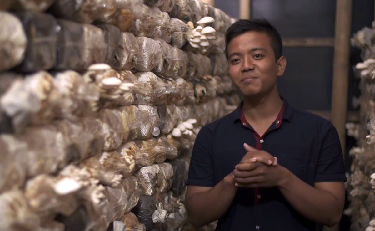 Image of a man standing in the middle of a mushroom farm.