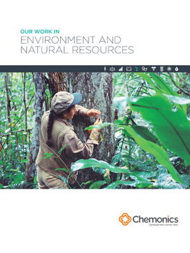 The front page of a report titled "Our Work in Environment and Natural Resources." Includes an image of a woman analyzing the trunk of a large tree in the rainforest.