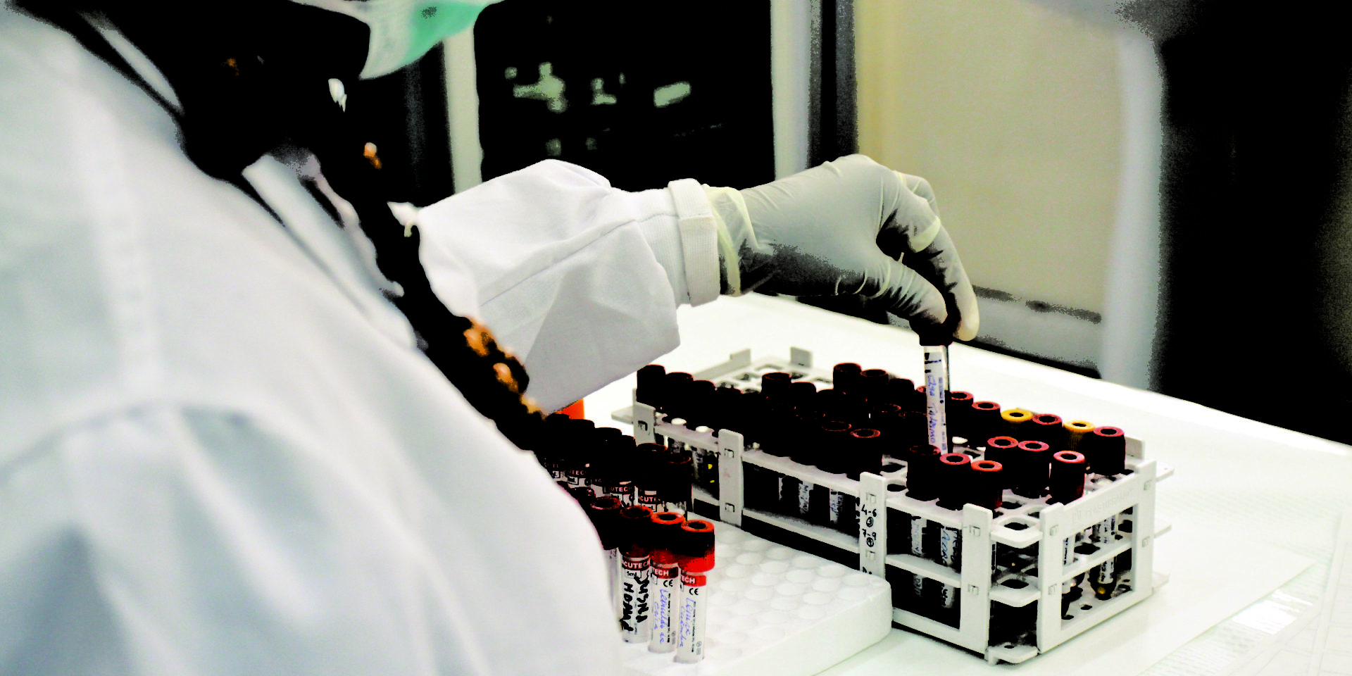 Image of a lab technician putting a test tube into a test tube holder.