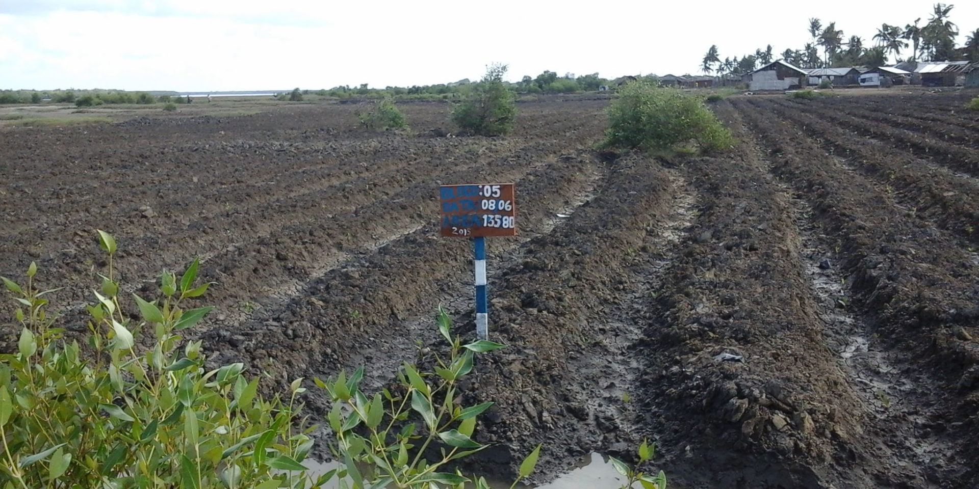 Image of freshly-tilled farmland with a blue and white marking post in the foreground.