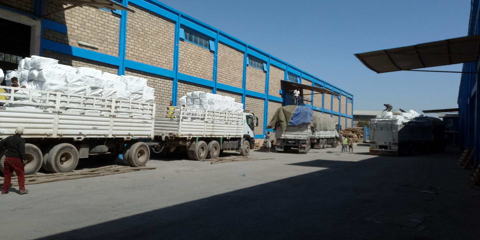 The outside of a warehouse with several white trucks loading and unloading goods.