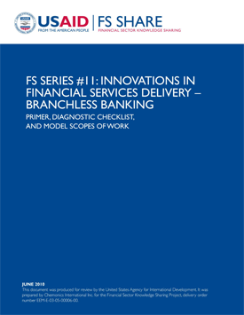 The front page of a report titled "FS Series 11: Innovations in Financial Services Delivery - Branchless Banking."