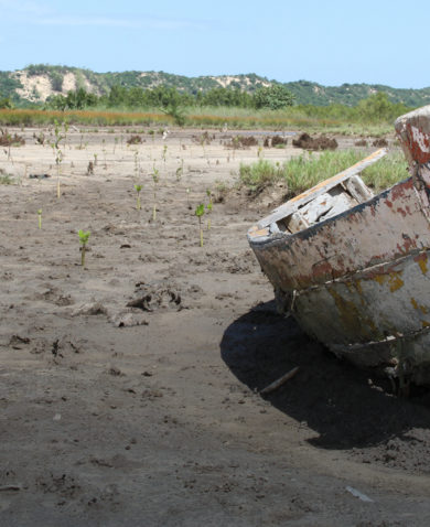 Image of a beach with a broken boat on the shore.