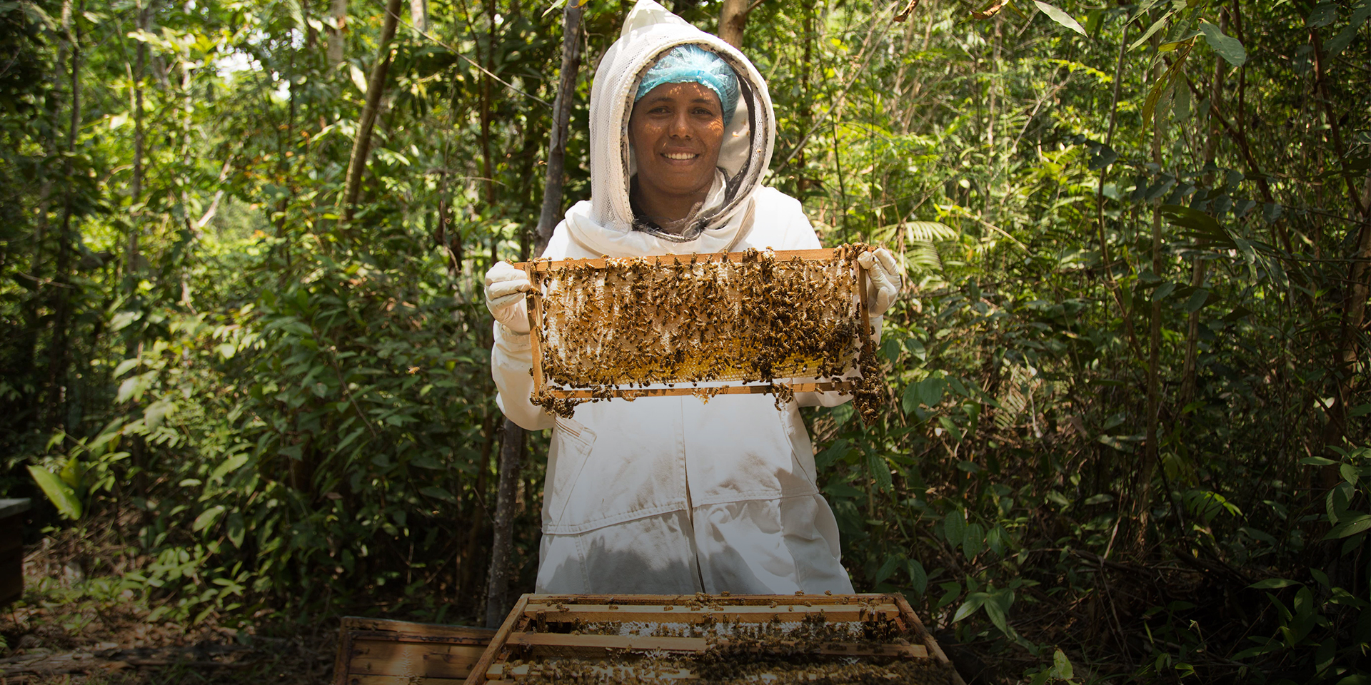 A beekeeper holding up a frame covered in bees that she has pulled from a bee box.