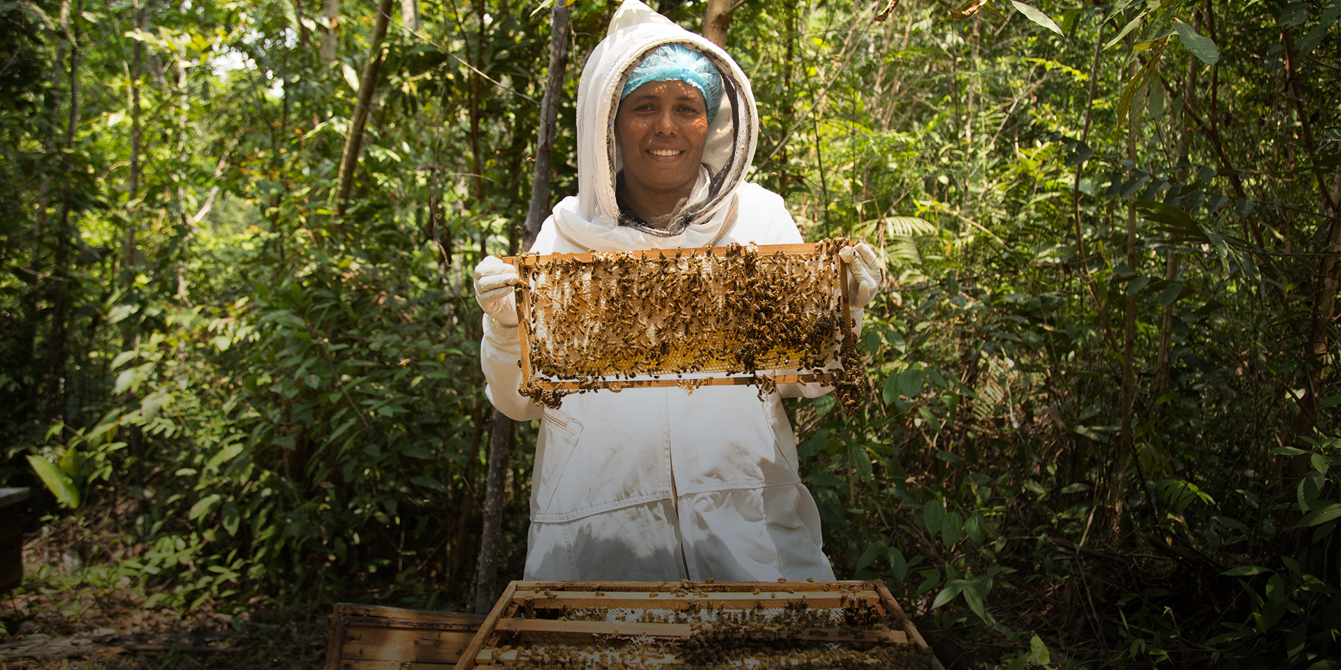 Small-Scale Beekeepers Earn More With Best Management Practices