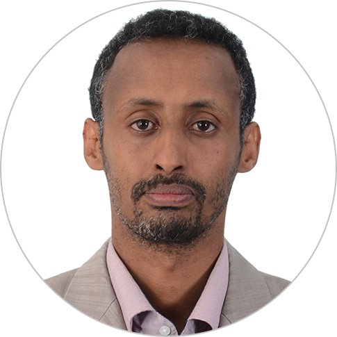 A professional headshot of Tesfaye Seifu.