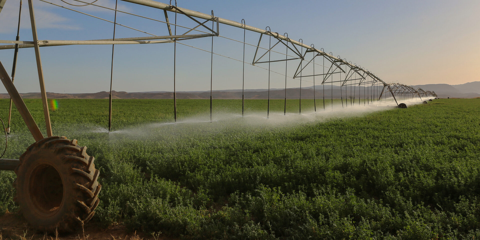 A large irrigation system sprinkling water on a swath of farmland.