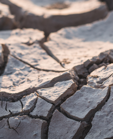 A close-up image of dry and cracked soil with a small sprout growing from the earth.