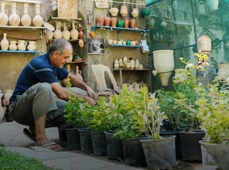 A man kneeling beside several potted plants and trimming their leaves.