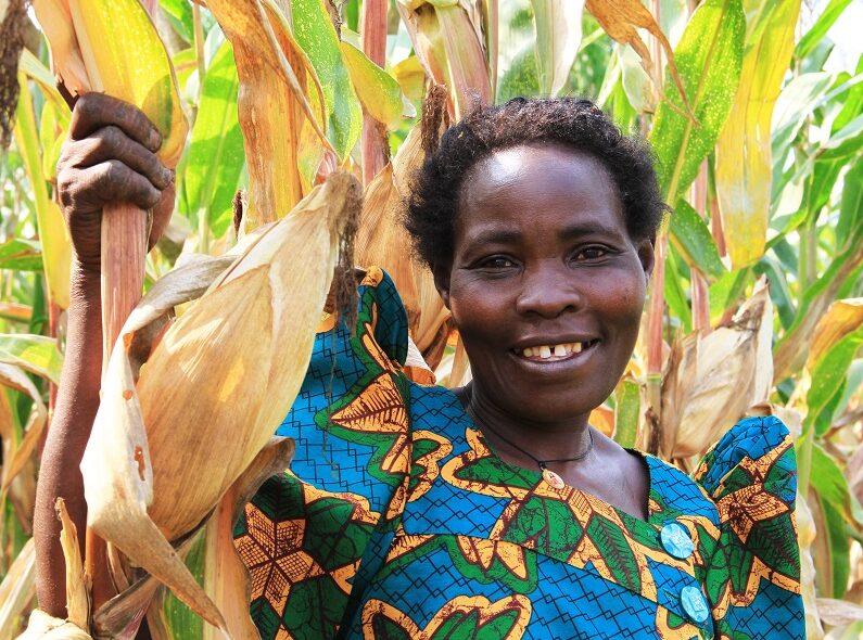 Woman farmer standing in her cornfield