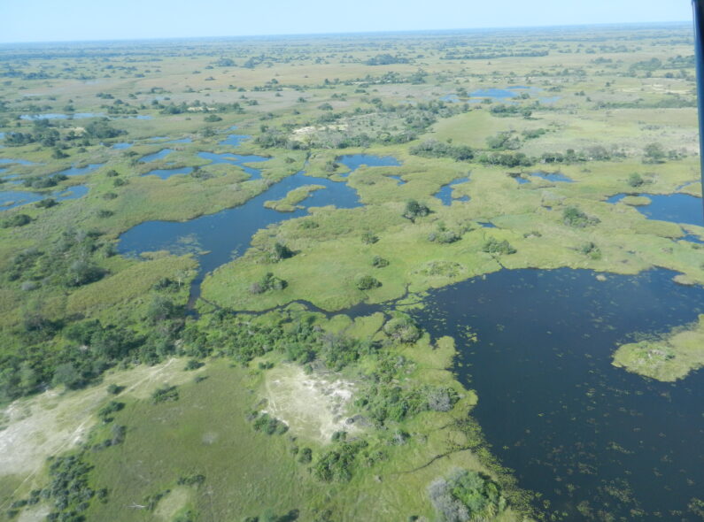 Aerial view of the Cubango-Okavango River Basin