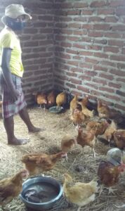A woman with a face mask surrounded by chickens