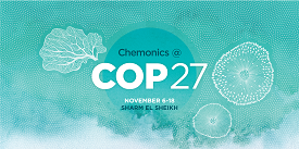 A graphic that reads "Chemonics at COP 27" over a teal watercolor background.