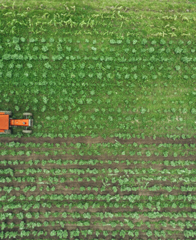 An overhead image of farmland as a tractor works the fields.