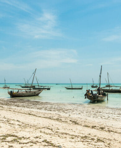 Fishing boats on the shore in Zanzibar, Tanzania
