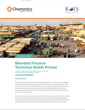 Image of a document titled "Blended Finance Technical Briefs Primer." Includes an image of a large bazaar.